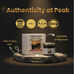 PURE WELLNESS SHILAJIT RESIN (20 g)